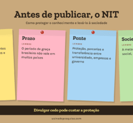 Infográfico Antes de publicar, o NIT: momento, prazo, ponte e sociedade